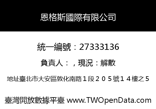 恩格斯國際有限公司