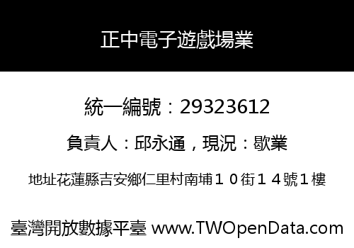 正中電子遊戲場業