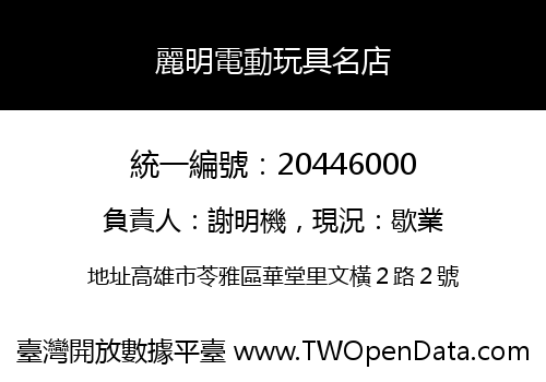 麗明電動玩具名店