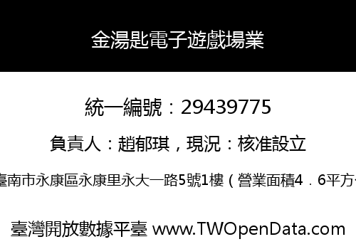 金湯匙電子遊戲場業