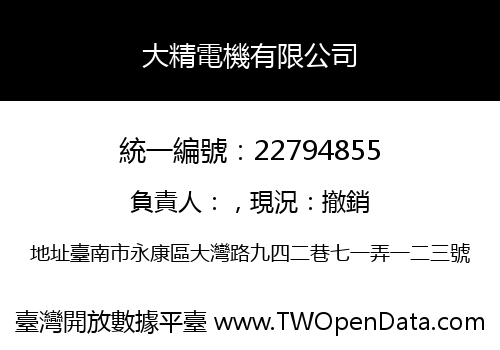 大精電機有限公司