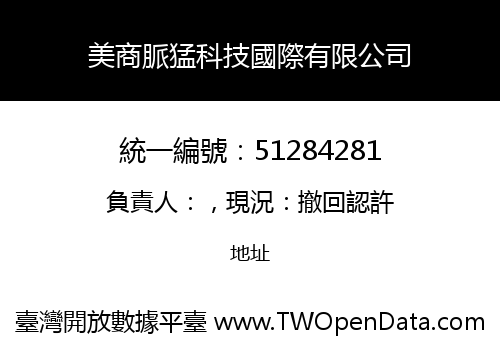 美商脈猛科技國際有限公司