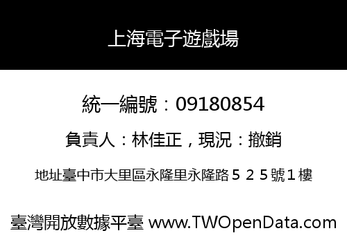 上海電子遊戲場