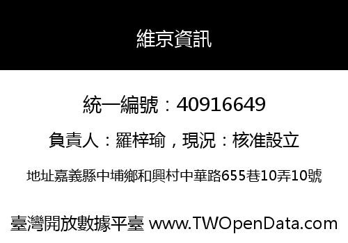 維京資訊