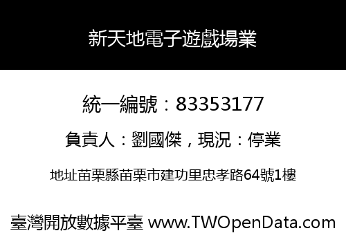 新天地電子遊戲場業