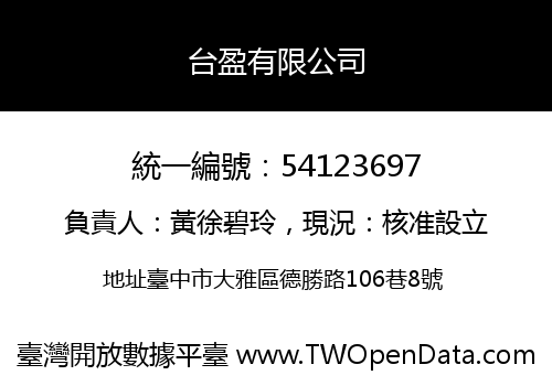 台盈有限公司