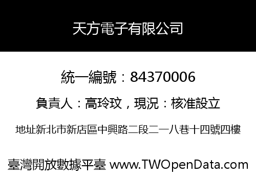 天方電子有限公司