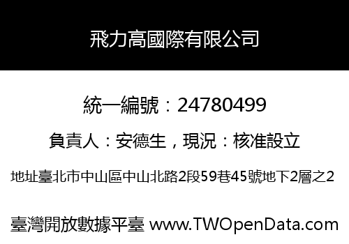 飛力高國際有限公司