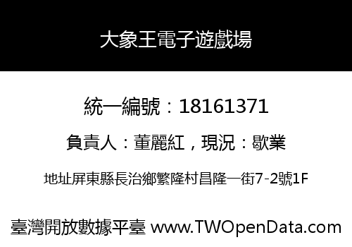大象王電子遊戲場