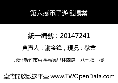 第六感電子遊戲場業