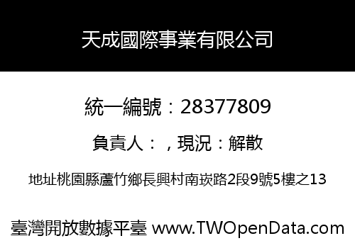 天成國際事業有限公司