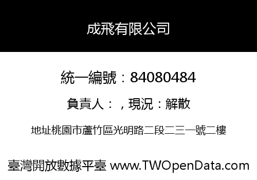 成飛有限公司
