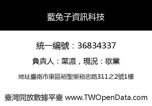 藍兔子資訊科技