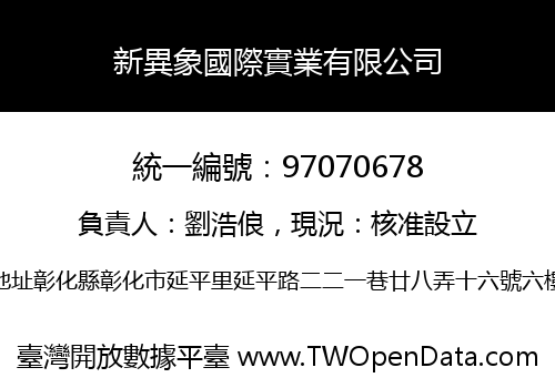 新異象國際實業有限公司