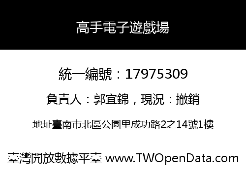 高手電子遊戲場