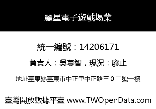 麗星電子遊戲埸業