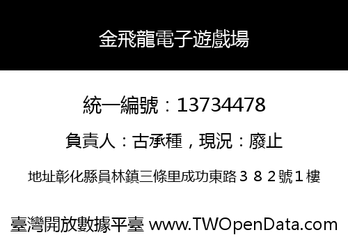 金飛龍電子遊戲場