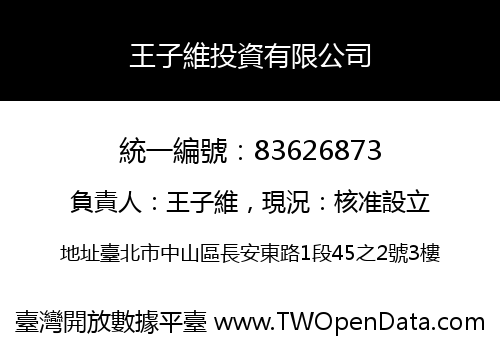 王子維投資有限公司