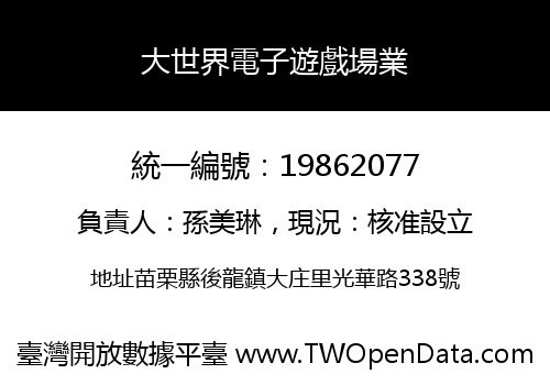 大世界電子遊戲場業