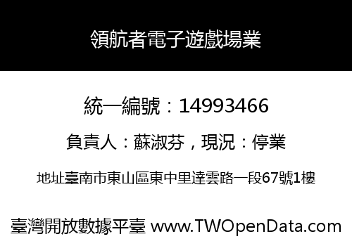 領航者電子遊戲場業
