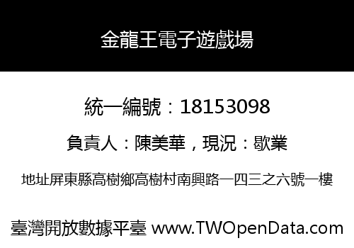 金龍王電子遊戲場