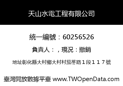 天山水電工程有限公司