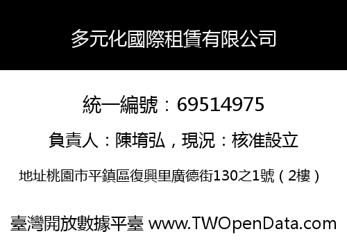 多元化國際租賃有限公司