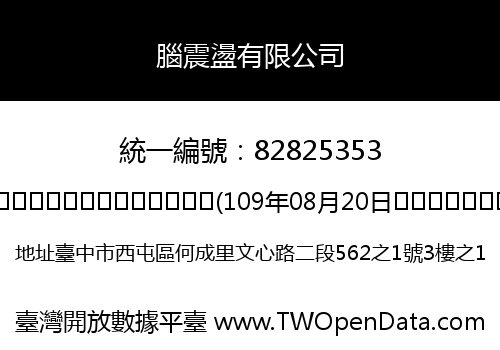腦震盪有限公司