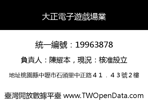 大正電子遊戲場業