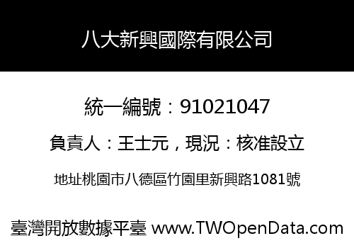 八大新興國際有限公司
