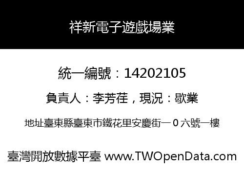 祥新電子遊戲場業