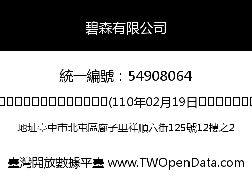碧森有限公司