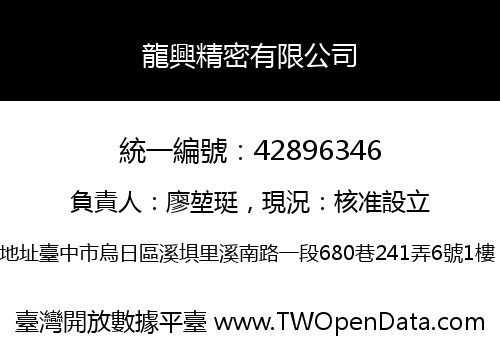 龍興精密有限公司