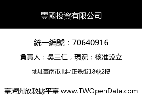 豐國投資有限公司