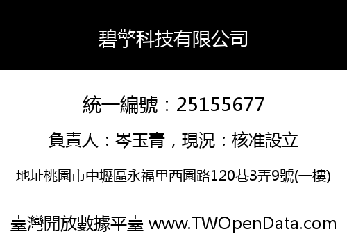 碧擎科技有限公司