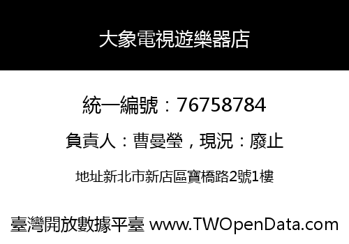 大象電視遊樂器店
