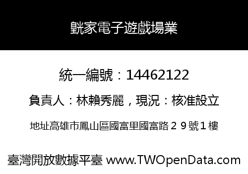皝家電子遊戲場業