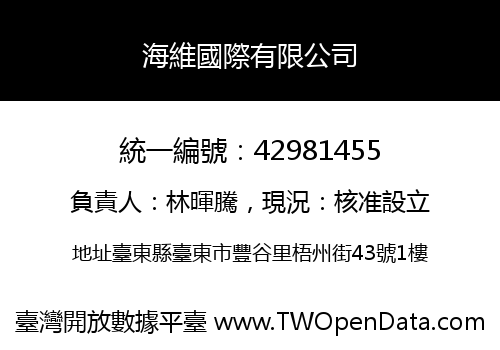 海維國際有限公司