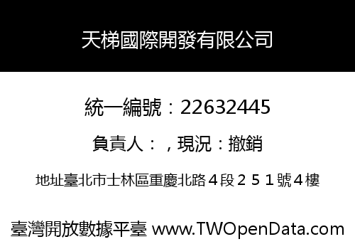 天梯國際開發有限公司