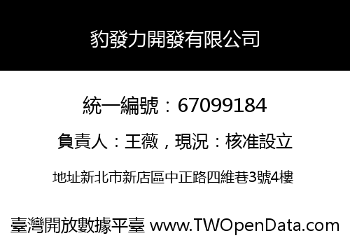 豹發力開發有限公司