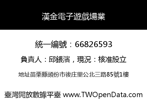 漢金電子遊戲場業