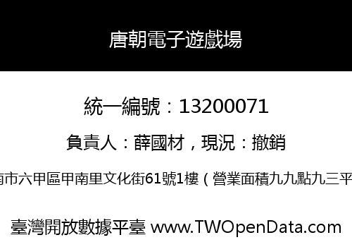 唐朝電子遊戲場
