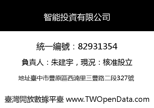 智能投資有限公司
