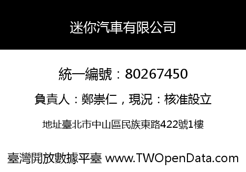 迷你汽車有限公司