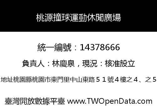 桃源撞球運動休閒廣場