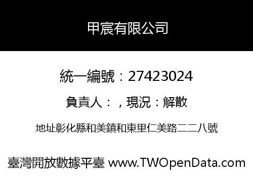 甲宸有限公司
