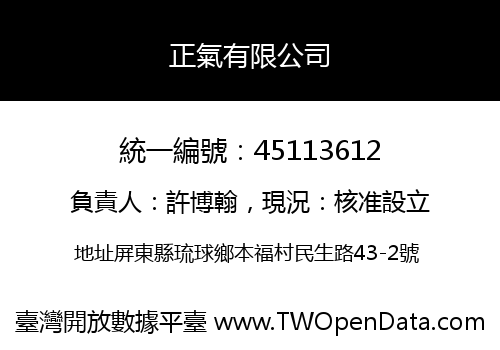 正氣有限公司