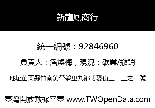 新龍鳳商行