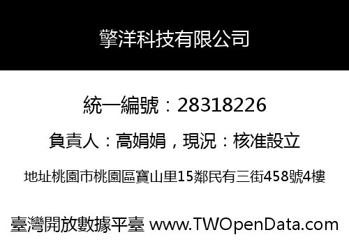 擎洋科技有限公司