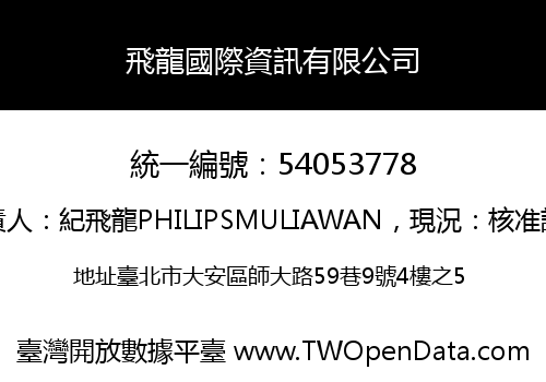 飛龍國際資訊有限公司